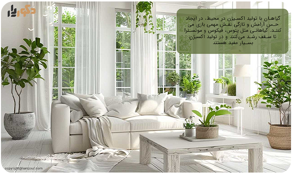 ایده های دکوراسیون و نقش گیاهان در آن